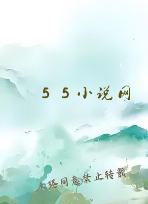 55小说网