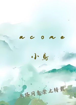 acome小鸟