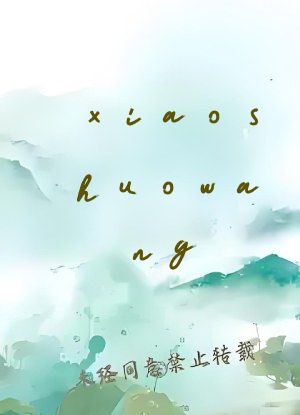 xiaoshuowang