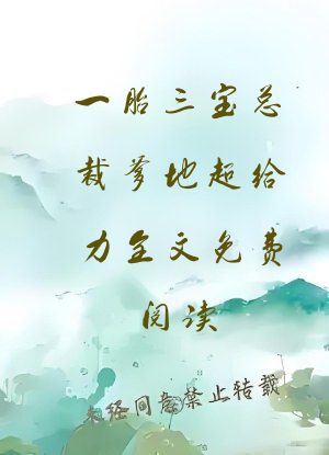 一胎三宝总裁爹地超给力全文免费阅读
