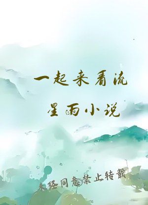 一起来看流星雨小说