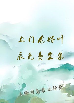 上门龙婿叶辰免费全集