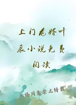 上门龙婿叶辰小说免费阅读
