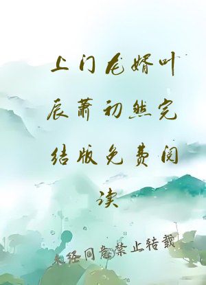 上门龙婿叶辰萧初然完结版免费阅读