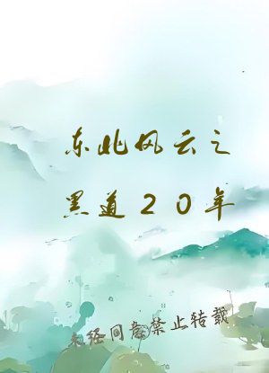 东北风云之黑道20年