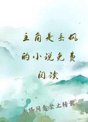 主角是岳风的小说免费阅读