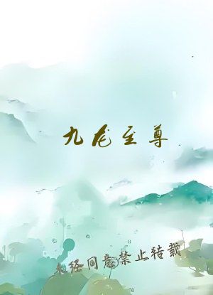 九龙至尊