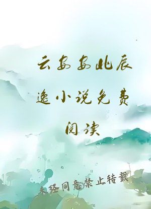 云安安北辰逸小说免费阅读