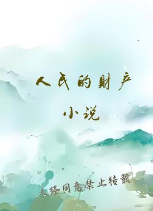 人民的财产小说