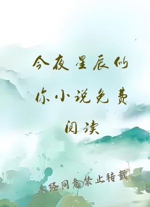 今夜星辰似你小说免费阅读