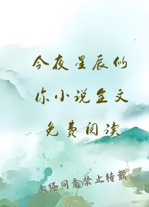 今夜星辰似你小说全文免费阅读