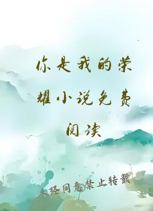 你是我的荣耀小说免费阅读