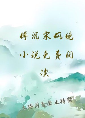 傅沉宋风晚小说免费阅读