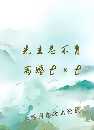先生总不肯离婚txt