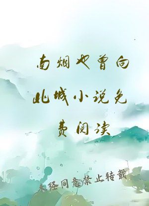 南烟也曾向北城小说免费阅读