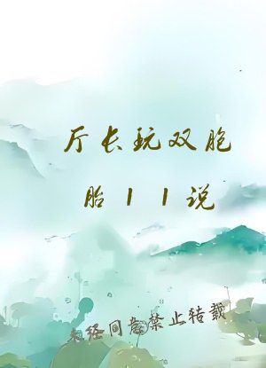 厅长玩双胞胎11说