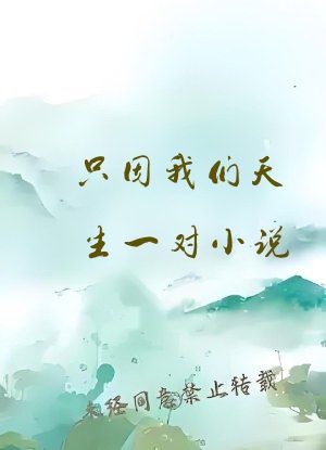 只因我们天生一对小说