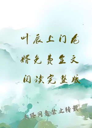 叶辰上门龙婿免费全文阅读完整版