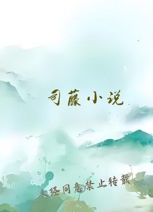 司藤小说