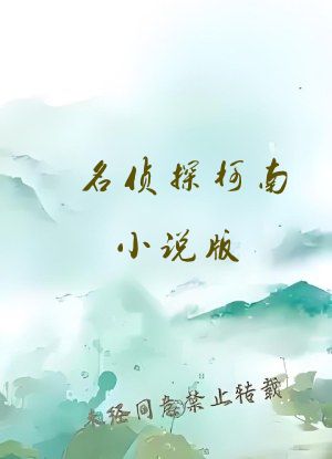 名侦探柯南小说版