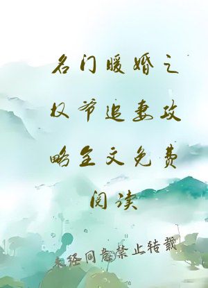 名门暖婚之权爷追妻攻略全文免费阅读