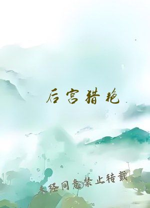 后宫猎艳