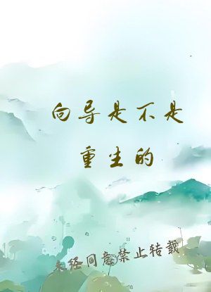 向导是不是重生的