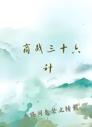 商战三十六计