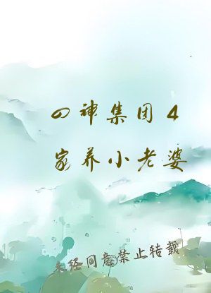 四神集团4家养小老婆