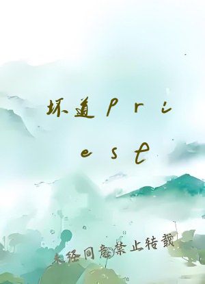 坏道priest
