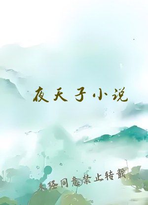 夜天子小说