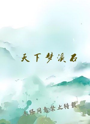 天下梦溪石