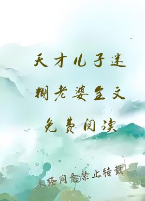 天才儿子迷糊老婆全文免费阅读