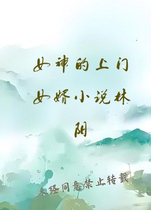 女神的上门女婿小说林阳