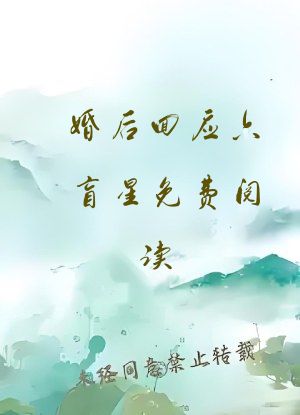 婚后回应六盲星免费阅读