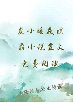 安小暖夜溟爵小说全文免费阅读