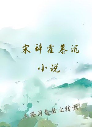 宋辞霍慕沉小说