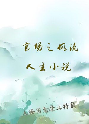 官场之风流人生小说