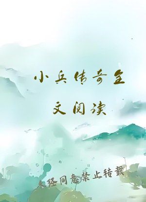 小兵传奇全文阅读