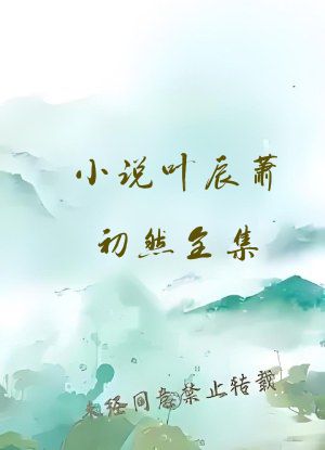 小说叶辰萧初然全集