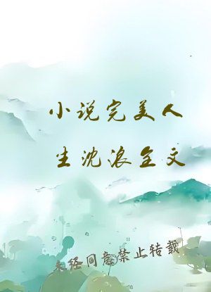 小说完美人生沈浪全文