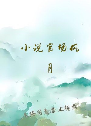 小说官场风月