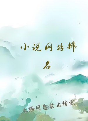 小说网站排名