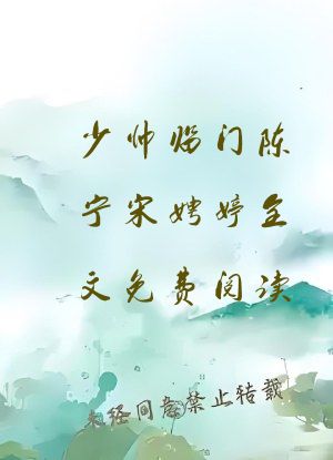 少帅临门陈宁宋娉婷全文免费阅读
