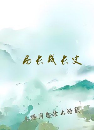 局长成长史