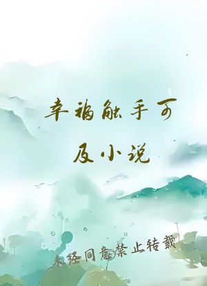 幸福触手可及小说