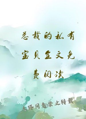 总裁的私有宝贝全文免费阅读