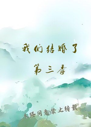 我们结婚了第三季