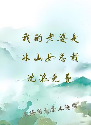 我的老婆是冰山女总裁沈浪免费