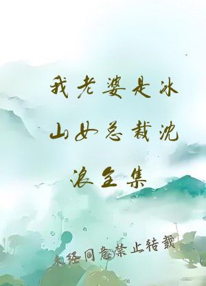 我老婆是冰山女总裁沈浪全集